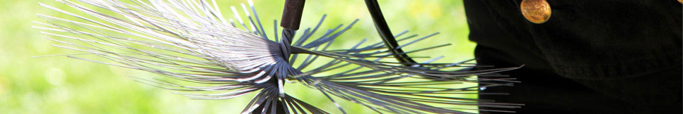 Banner - Eric Lippmann